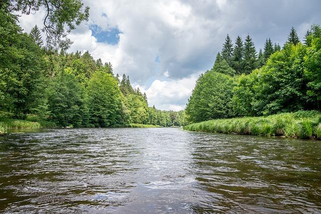 Otužování ve Vltavě: Průvodce pražskými lokalitami