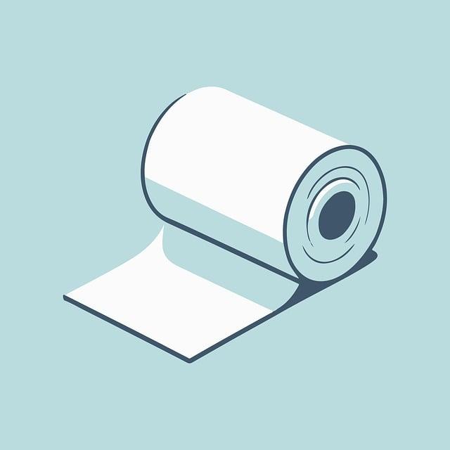 WC budoucnosti: Bidetová sprcha s regulací teploty