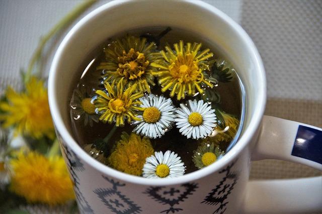 1. Očistěte své tělo pomocí detoxu z kopřiv