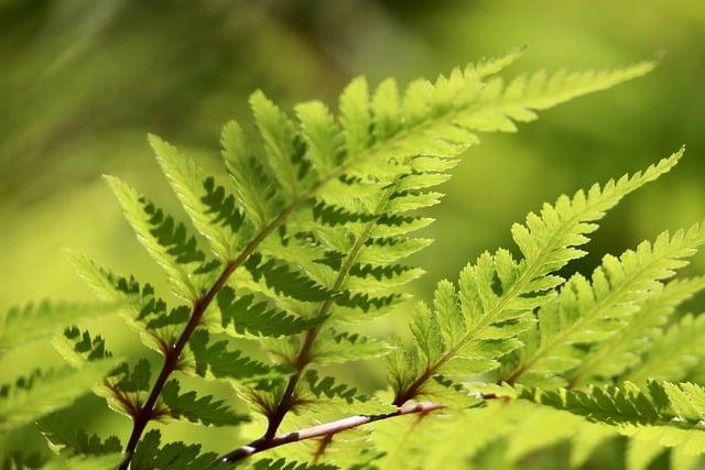 Tipy na zvýšení energie během detoxikačního procesu