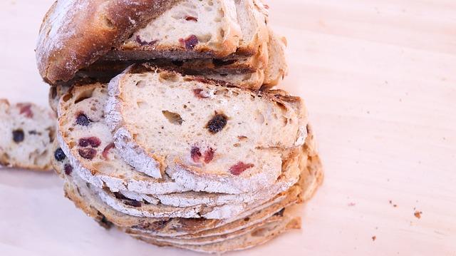 Vliv fermentace na trávení a imunitní systém