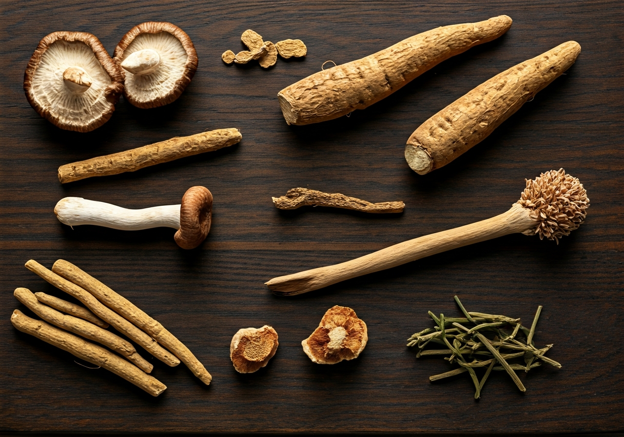 Čaj na imunitu: Který skutečně funguje? (Odborný test) 3 Flat lay of various raw adaptogenic roots, dried ashwagandha, medicinal mushrooms, and herbs arranged on a rustic wooden board, soft natural light, minimalist and organic aesthetic, 85mm lens, high resolution, no text, no letters