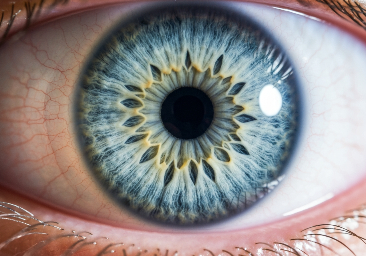 A macro photography shot of an eye iris with soft, clean focus, illustrating the delicate surface of the cornea, editorial health style, bright clinical lighting, 85mm lens, high detail, no text, no letters