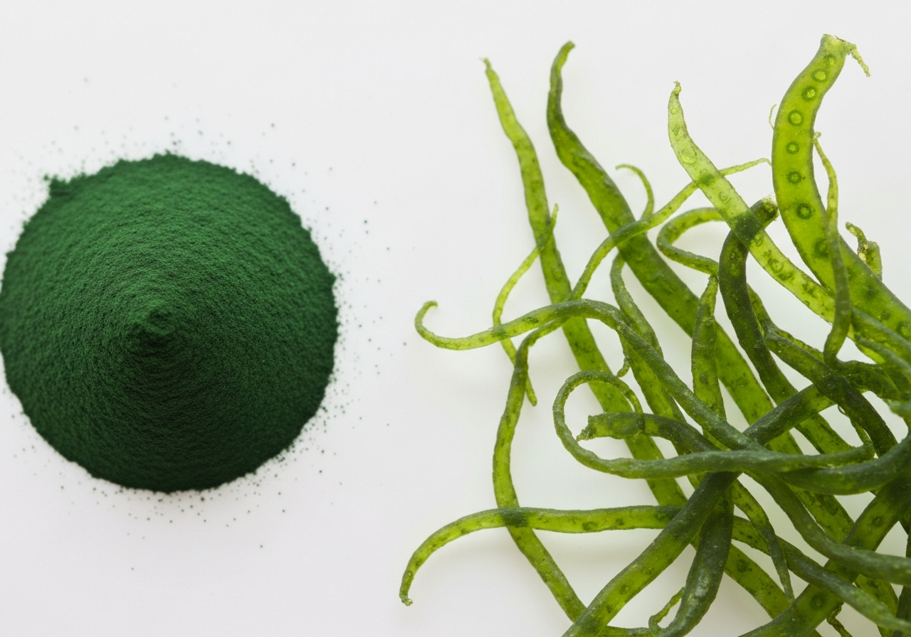Macro photography of deep green spirulina powder and algae strands, clean minimalist laboratory setting, premium editorial style, soft natural light, 85mm lens, highly detailed, no text, no words, no letters